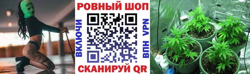 Какие есть наркотики Злынка Альфа ПВП Псилоцибиновые грибы АМФЕТАМИН БУТИРАТ КОКАИН МЕФ Марихуана Гашиш