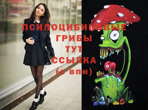 гидра Абинск