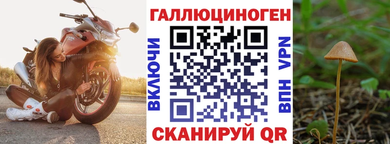 Галлюциногенные грибы MAGIC MUSHROOMS  блэк спрут онион  площадка Telegram  Злынка 