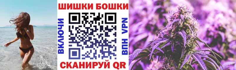 как найти наркотики Злынка Каннабис White Widow
